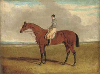 John Frederick Herring, Jun. - Bay Middleton With Jockey Up, A Racecourse Beyond