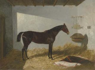 John Frederick Herring, Jun. - Calico, a bay hunter in a stall