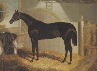 John Frederick Herring, Jun. - Faugh-A-Ballagh, Winner of The St. Leger, 1844, In A Stable