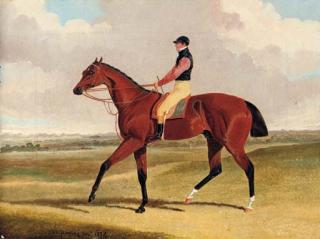 John Frederick Herring, Jun. - Theodore, winner of the 1822 St. Leger, with John Jackson up, a racecourse beyond