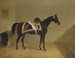 John Frederick Herring, Sen. - A charger belonging to an officer of the 1st Life Guards