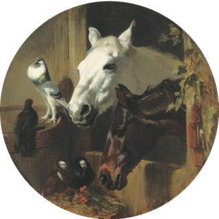 John Frederick Herring, Sen. - A Grey and a Dark Bay through a Stable Door with Pigeons