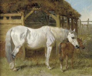 John Frederick Herring, Sen. - A Grey Mare And Chestnut Foal By A Stable