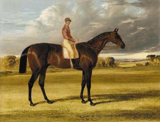 John Frederick Herring, Sen. - Amato, winner of the 1838 Derby, with jockey up, in a landscape