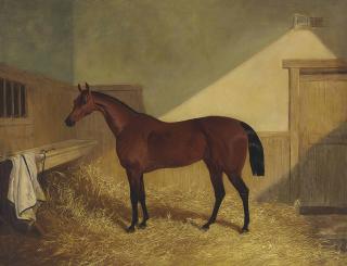 John Frederick Herring, Sen. - Beeswing, in a Stable