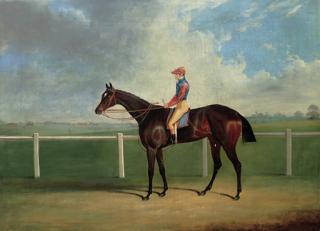John Frederick Herring, Sen. - Bessy Bedlam, a bay racehorse with T. Nicholson up, on a racecourse