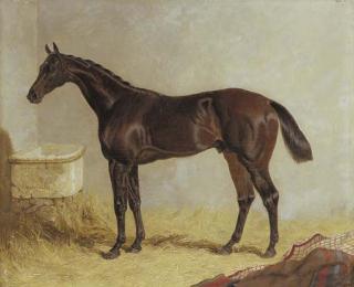 John Frederick Herring, Sen. - Birmingham, winner of the 1830 St. Leger Stakes, in a stable