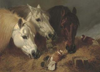 John Frederick Herring, Sen. - Horses Feeding With Two Ornamental Pigeons At A Manger