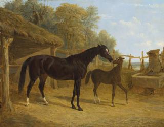 John Frederick Herring, Sen. - \'Levity\' by \'Château Margaux\' out of \'Helga\', with a foal at foot