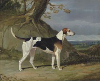 John Frederick Herring, Sen. - Maleburn, A Foxhound In A Wooded Landscape