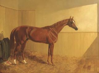 John Frederick Herring, Sen. - Mr. J. Dawson\'s Grimston, a chesnut racehorse in a stable