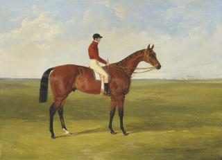 John Frederick Herring, Sen. - Mr S. Wrather\'s \'Nutwith\' with J. Marson up, winner of the St Leger, 1843