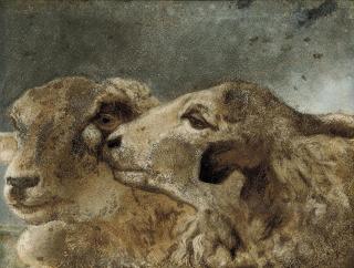 John Frederick Herring, Sen. - Study of sheep
