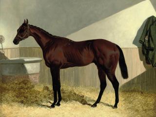 John Frederick Herring, Senr - Eryx