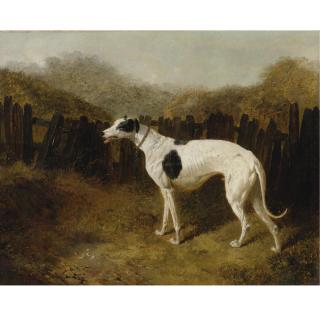 John Frederick Herring Snr. - British A Greyhound In A Landscape