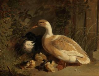 John Frederick Herring, Snr. - Ducks and ducklings