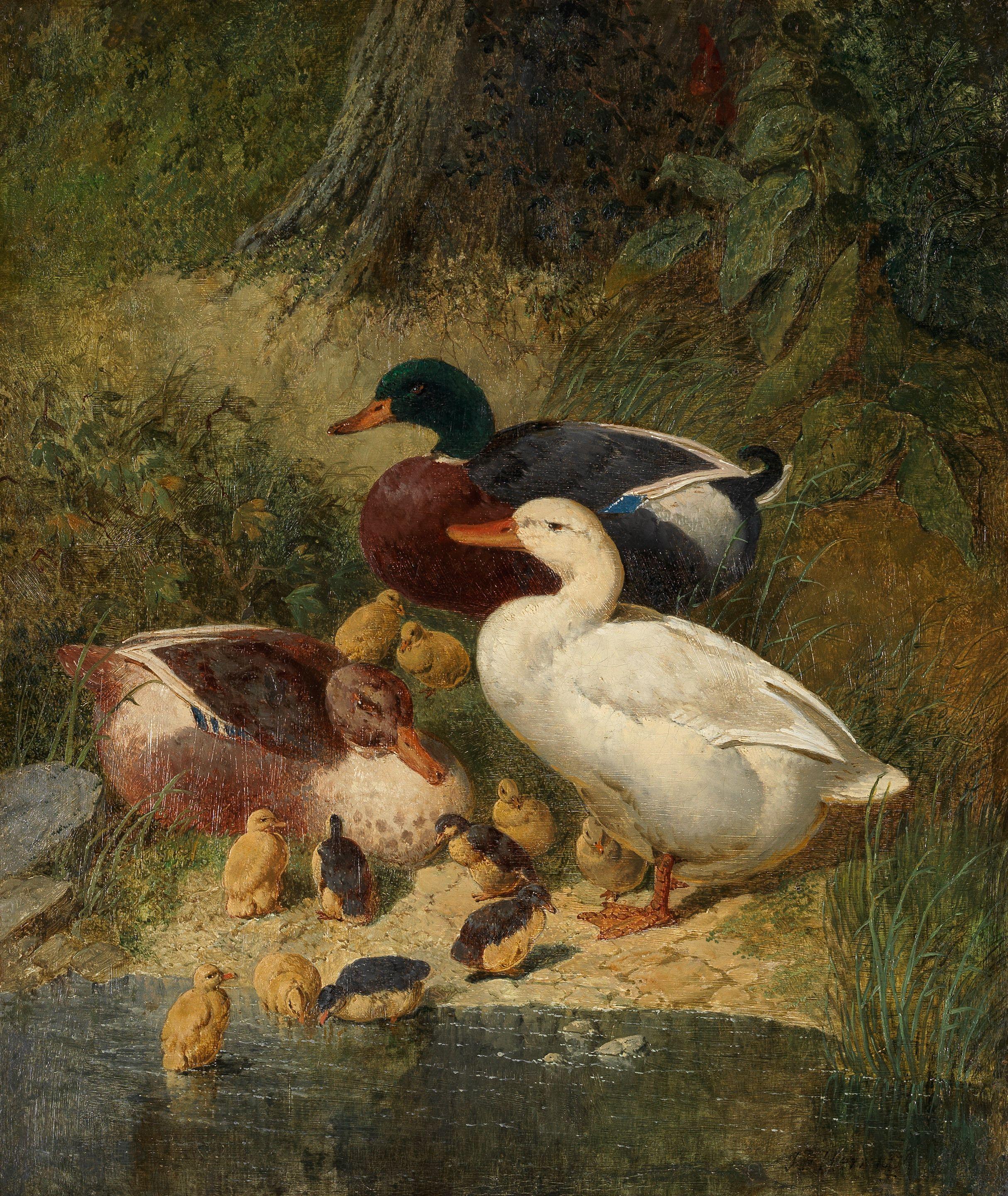 John Frederick Herring, Snr. - Ducks with ducklings on a pond