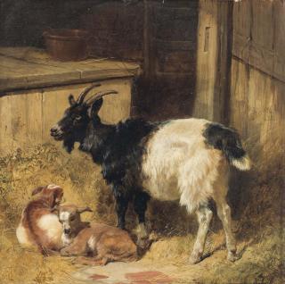 John Frederick Herring, Snr - Goats