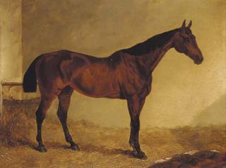 John Frederick Herring Snr. - Gypsy, a bay horse in a stable