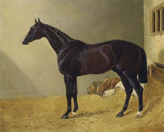 John Frederick Herring, Snr - Lancelot