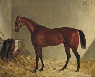 John Frederick Herring, Snr. - Little Wonder