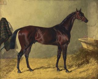 John Frederick Herring Snr. - Lord Cleveland’S Bay Colt ‘Chorister’ By Lottery, Out Of Chorus, Winner Of The St. Leger In 1831