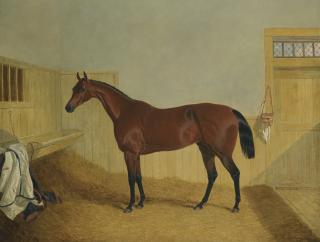 John Frederick Herring Snr. - Mr William Orde\'S Bay Filly Beeswing In A Stable