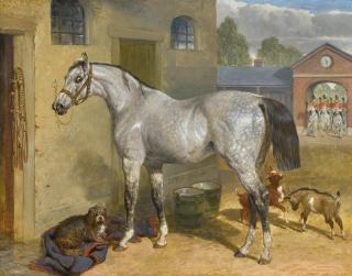 John Frederick Herring Snr. - One Of The Scots Greys In A Yard With Dog And Goats