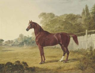 John Frederick Herring, Snr - Pantaloon