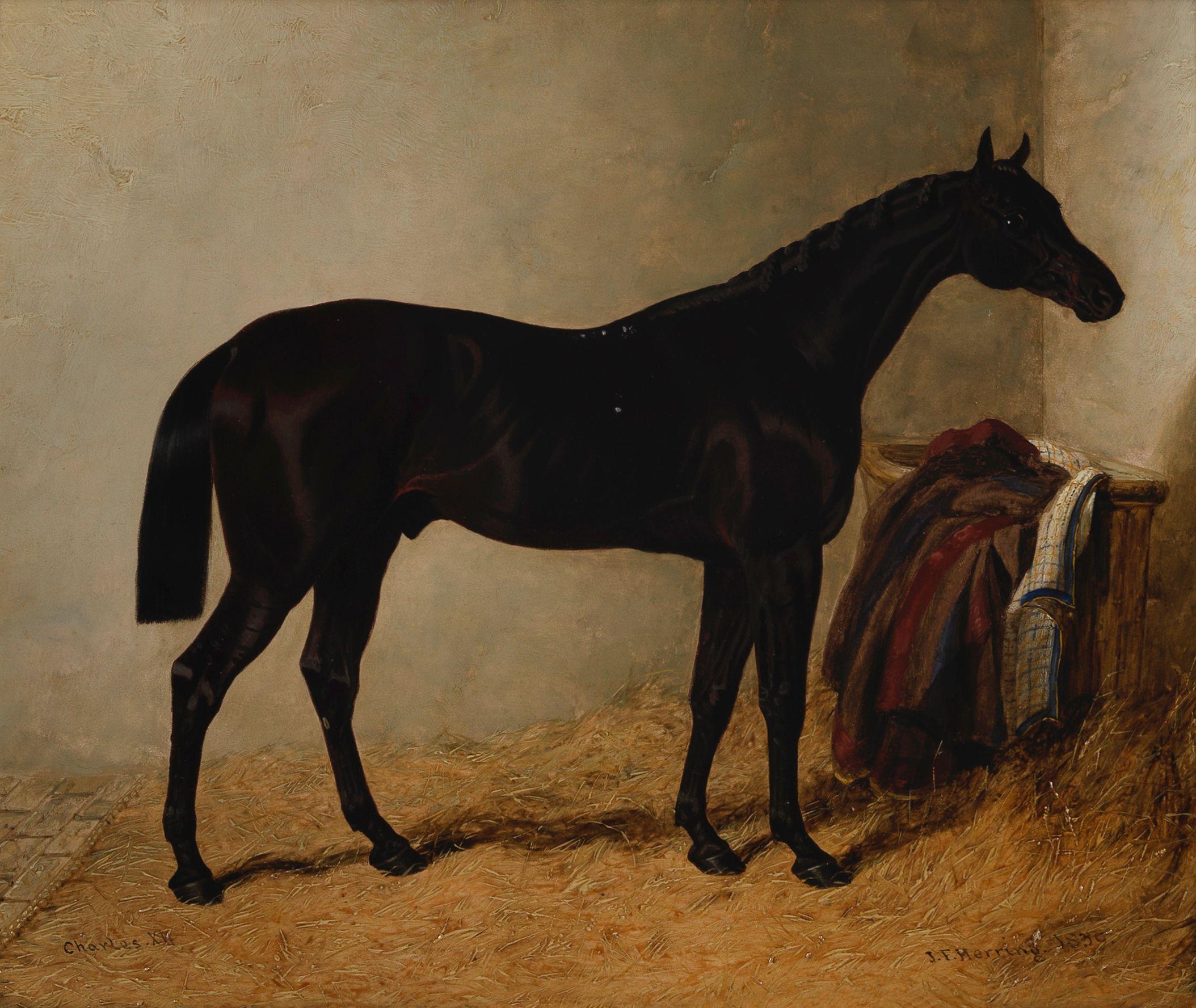 John Frederick Herring, Snr. - Portrait of a horse in a stable, thought to be the celebrated racehorse Charles the Twelfth (1836–1859)