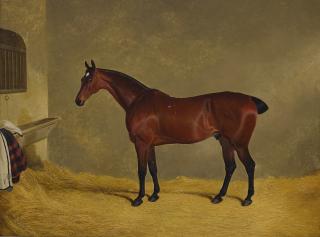 John Frederick Herring Snr. - Portrait Of A Horse In A Stable