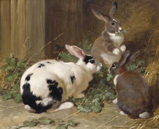 John Frederick Herring, Snr. - Rabbits feeding