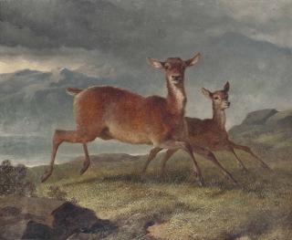 John Frederick Herring, Snr. - Red Hind And Calf