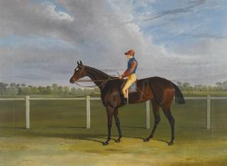 John Frederick Herring Sr. - Bessy Bedlam, Bay Racehorse With Jockey Up On A Racecourse