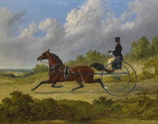 John Frederick Herring Sr. - British the Famous Trotter Confidence Drawing A Gig