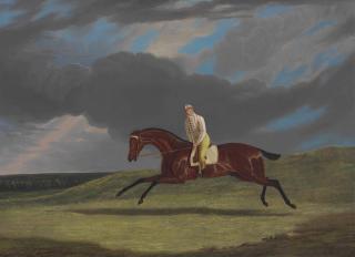 John Frederick Herring, Sr. - \'Corduroy,\' A Bay Racehorse, With A Jockey Up, Galloping On A Racecourse