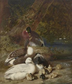 John Frederick Herring, Sr. - Ducks and Ducklings
