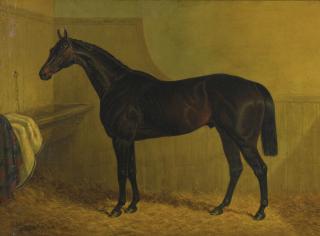 John Frederick Herring Sr. - Lottery