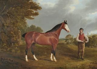 John Frederick Herring Sr. - The Racehorse \