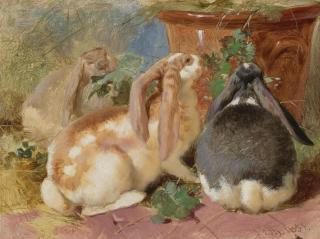 John Frederick Herring, Sr. - Three Lop-Eared Rabbits