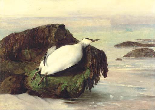 John George Naish - A Dead Seabird, Shanklin, Isle Of Wight