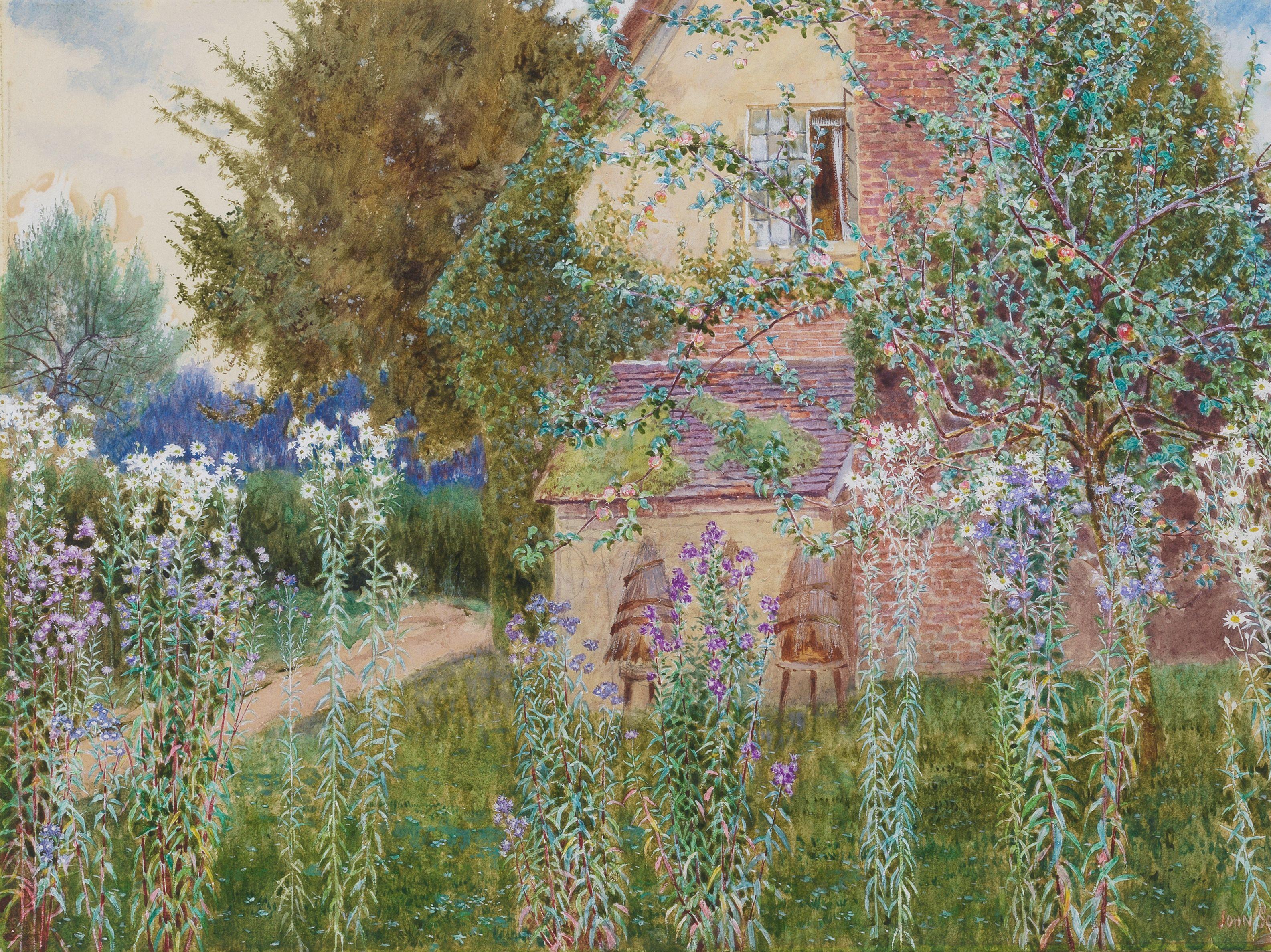 John George Sowerby - Michaelmas daises