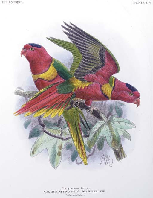 John Gerrard Keulemans - A Monograph of the Loriidae, or Brush-tongued Parrots: Six Plates