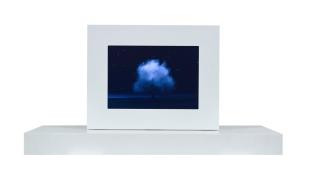 John Gerrard - Smoke Tree - 1