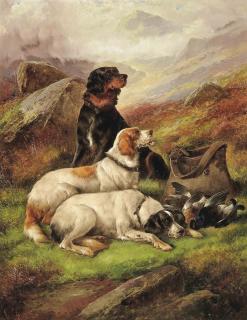 John Gifford - A successful shoot