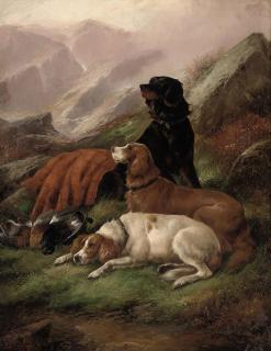 John Gifford - A successful shoot