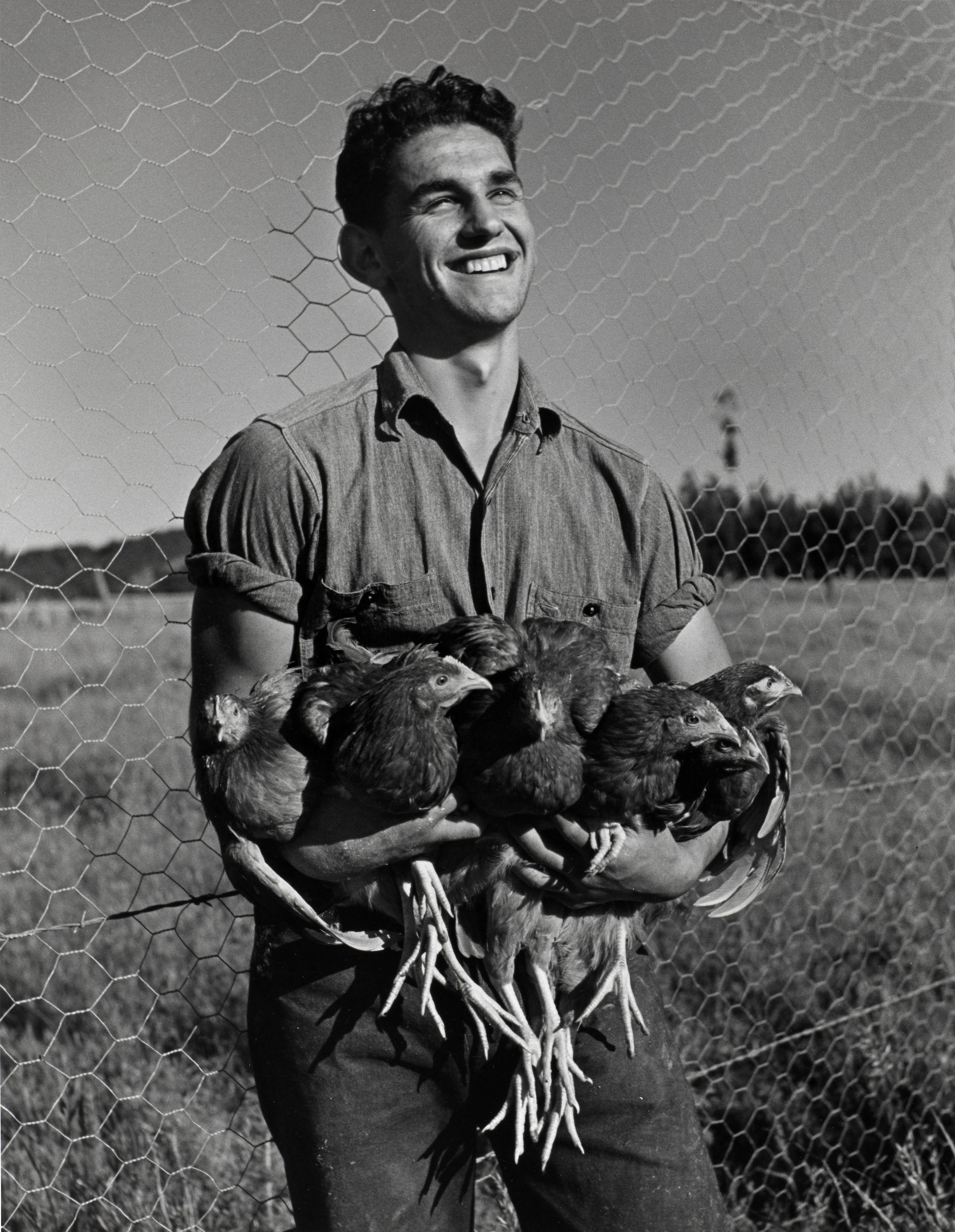 John Gutmann - High School Student Makes $2264 Annually by Raising Eating Chickens, Petaluma, CA