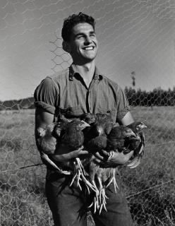 John Gutmann - High School Student Makes $2264 Annually by Raising Eating Chickens, Petaluma, CA