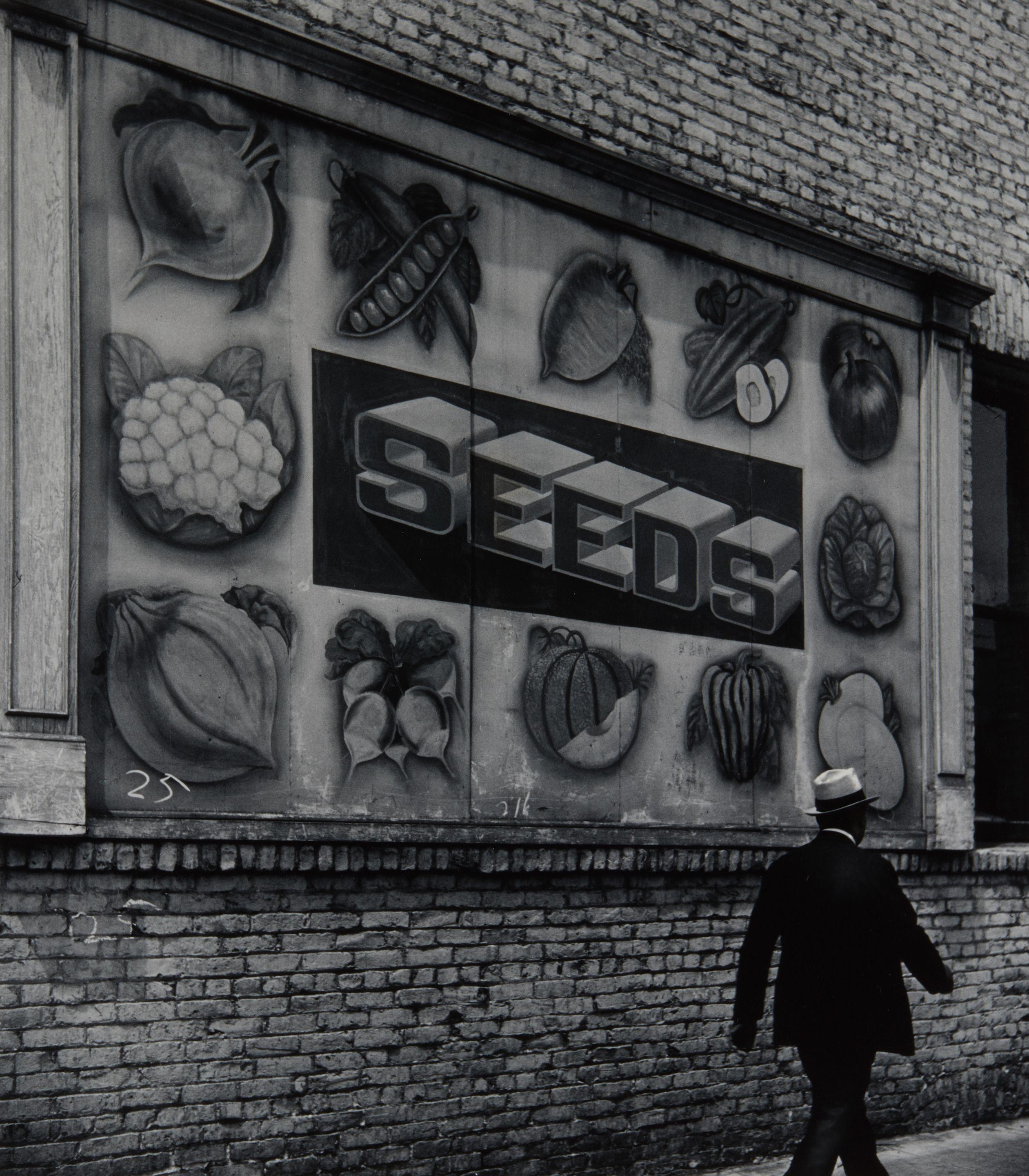 John Gutmann - Sign, California
