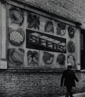 John Gutmann - Sign, California
